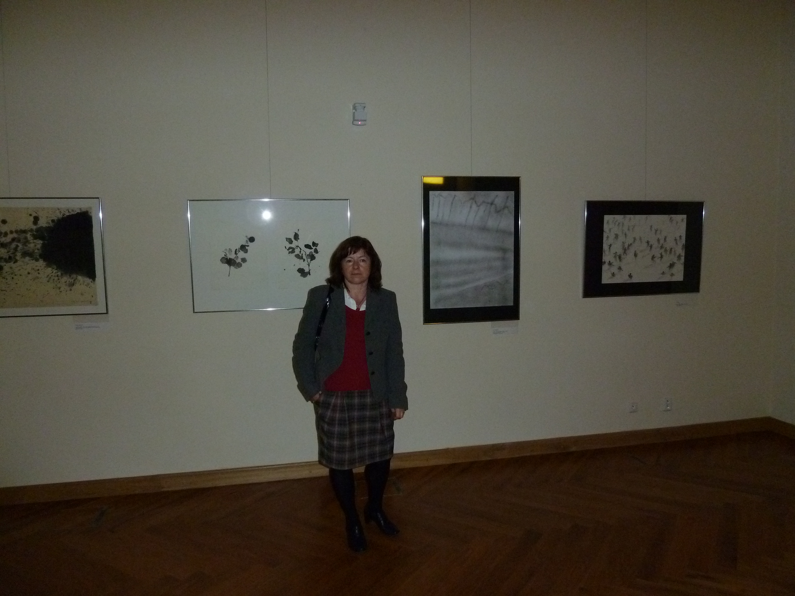 VII. mezinárodní bienále kresby - 2010, Plzeň