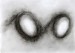 250711